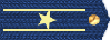 Rank: 12