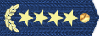 Rank: 19