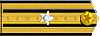 Rank: 12