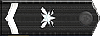 Rank: 6